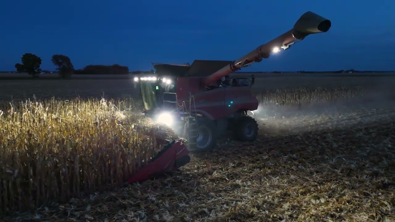 Evening Corn Harvest | Aubrey Farms