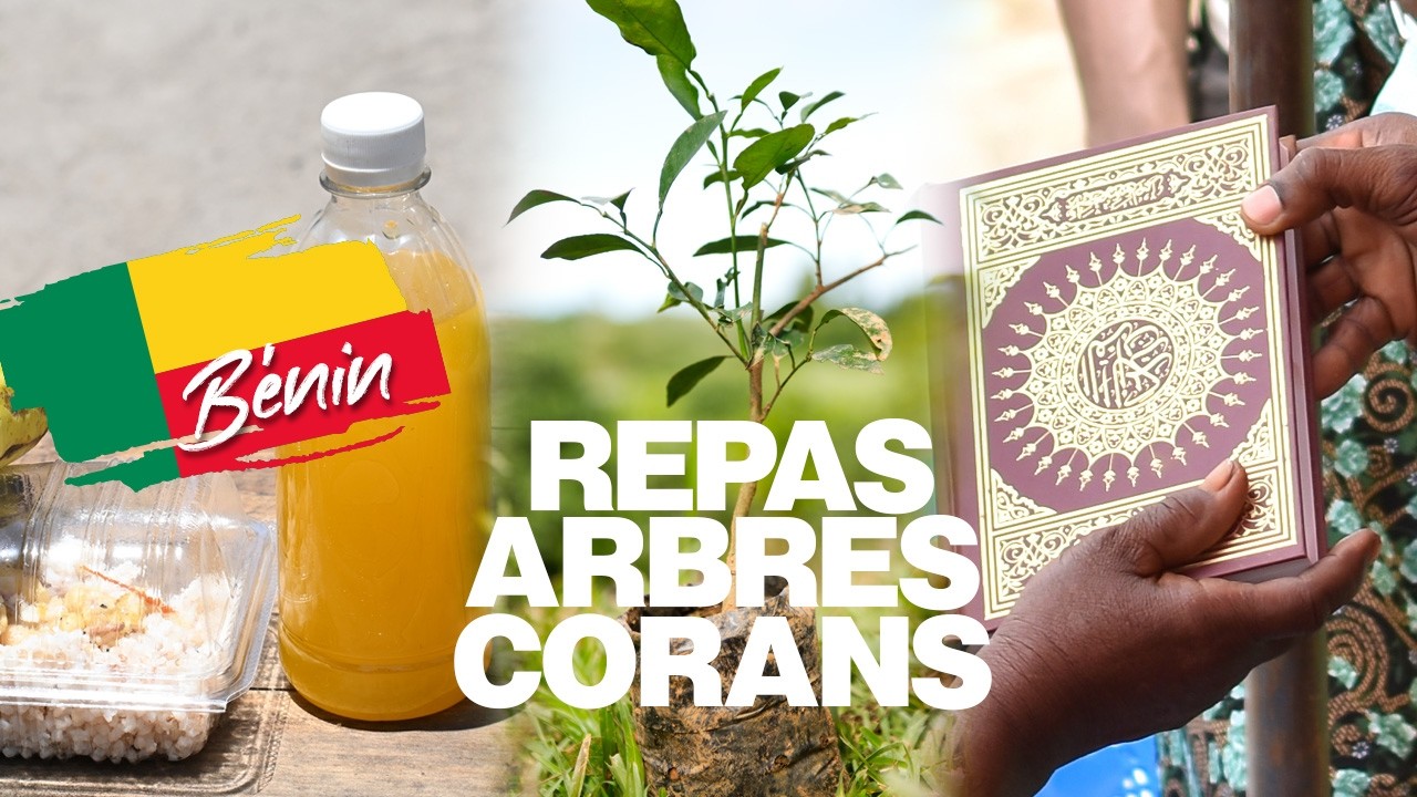 🎥 Le bien continue au Bénin 🇧🇯 | Corans • Repas • Arbres