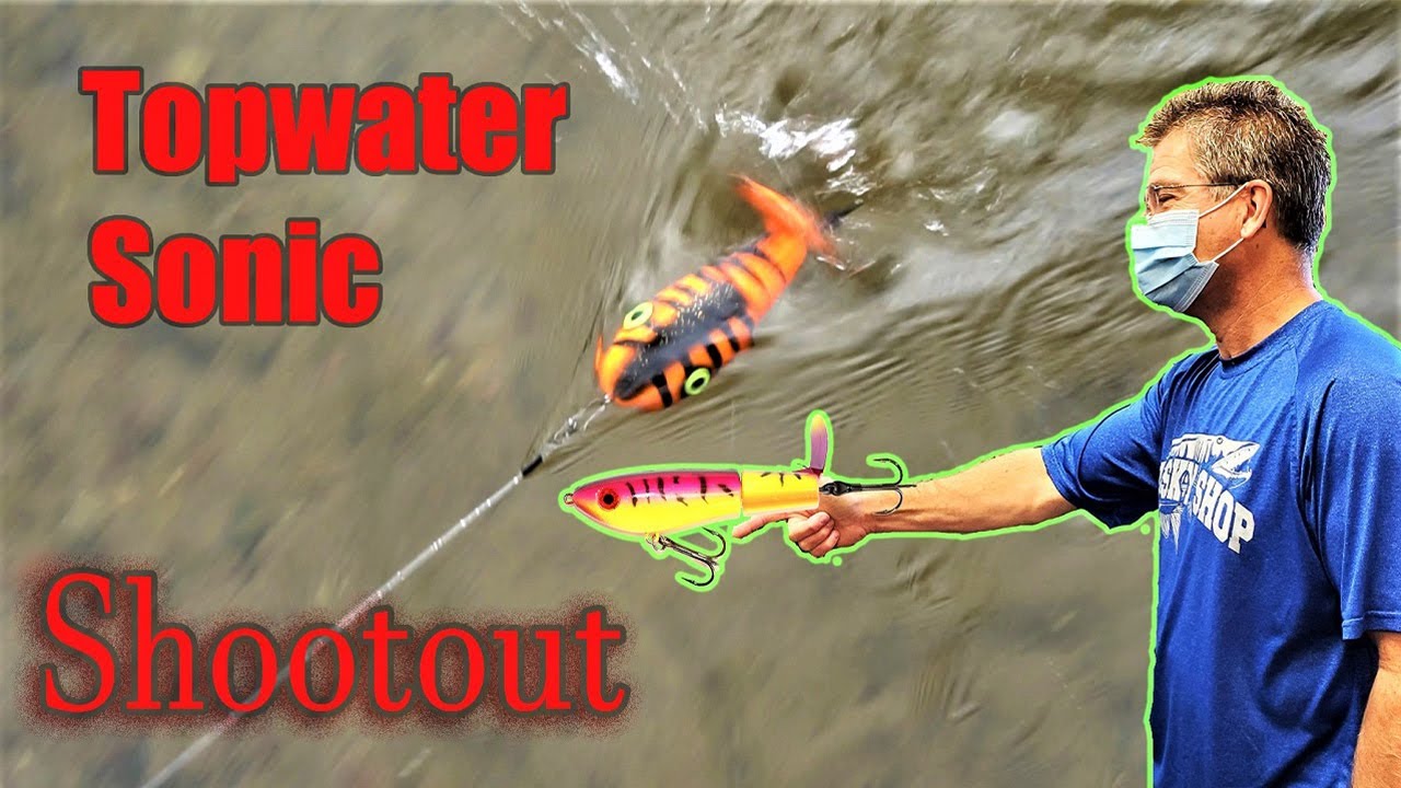 Topwater Sonic Shootout!