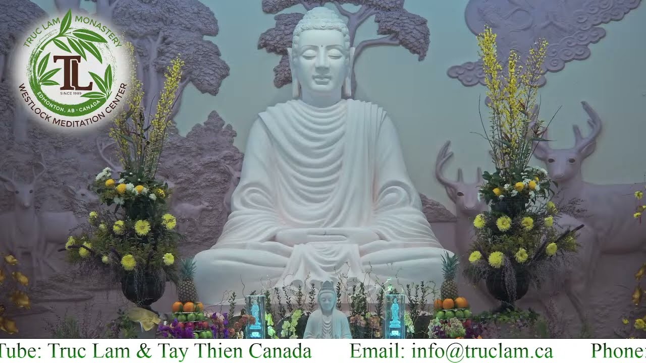 Lễ Hằng Tuần (10:30am - Feb 22, 2026 - Trúc Lâm)