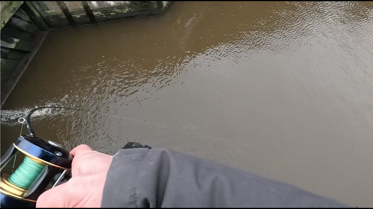 Veel actie met de streamer en jerkbait op snoek! Productief uurtje!