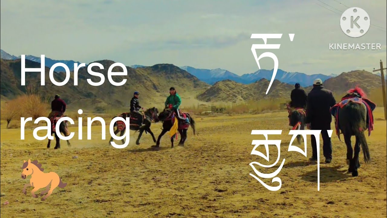 10 the march preparations @palyang 78 family #tibetan vlogger 