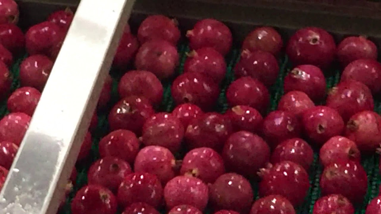 Pomegranate Process