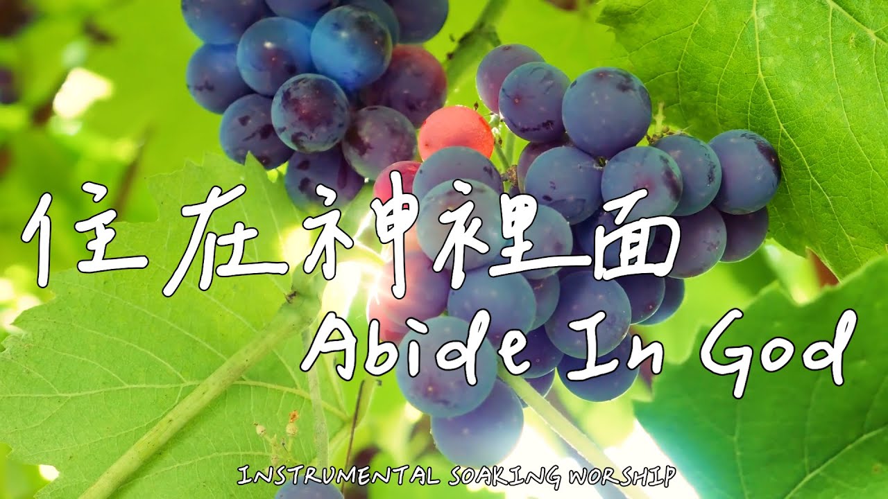 住在神裡面 Abide In God | 等候神音樂 | Soaking Music | 靈修音樂 | Instrumental Music | Worship | 輕音樂