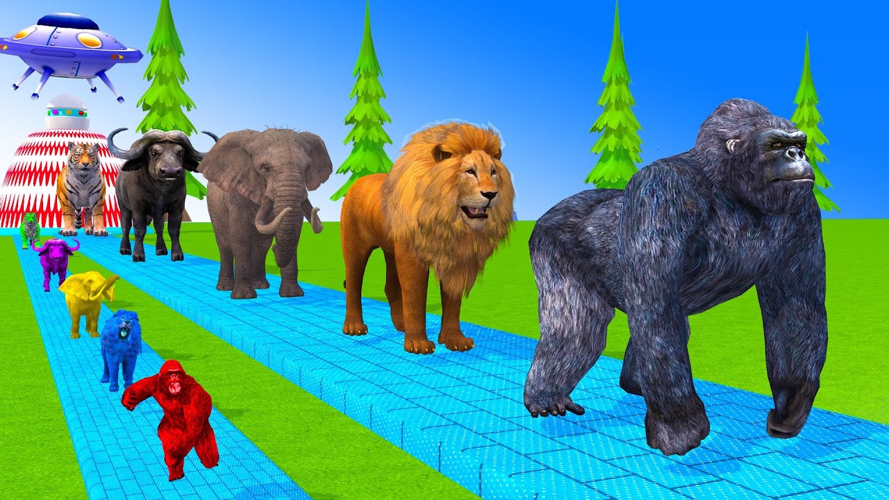 Long Slide Game With Cow Elephant Gorilla Hippopotamus Tiger 3d Animal Game Funny 3d Animals