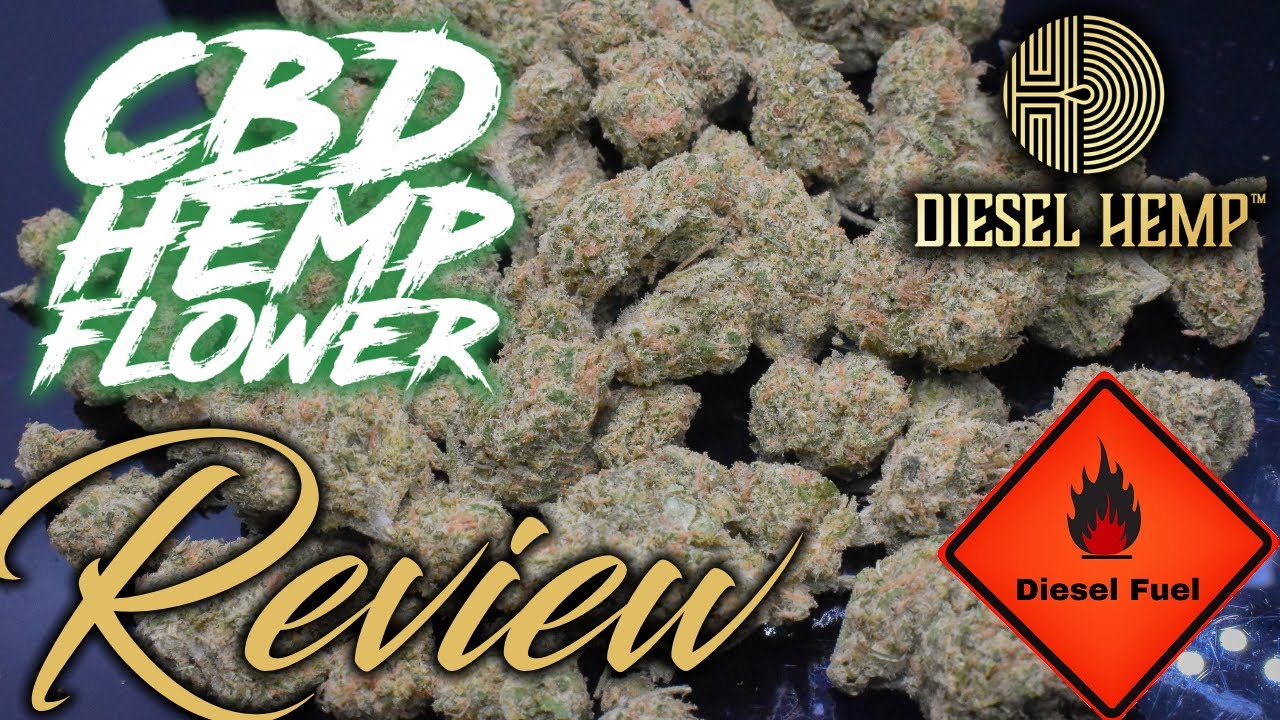 This strain from Diesel Hemp is WAY better than Abacus Diesel! | SpecDiesel | CBD Hemp Flower Review