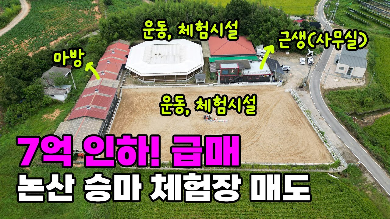 7억 인하 급매물! 논산 국방산업단지 인접, 승마 체험장과 동식물 시설 완비된 토지 및 건물 매매 - 충남 논산시 위치 백문부동산 문소
