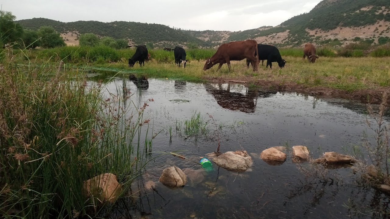 اراضي في منطقة ايت نوح خنيفرة واد اشبوكة 