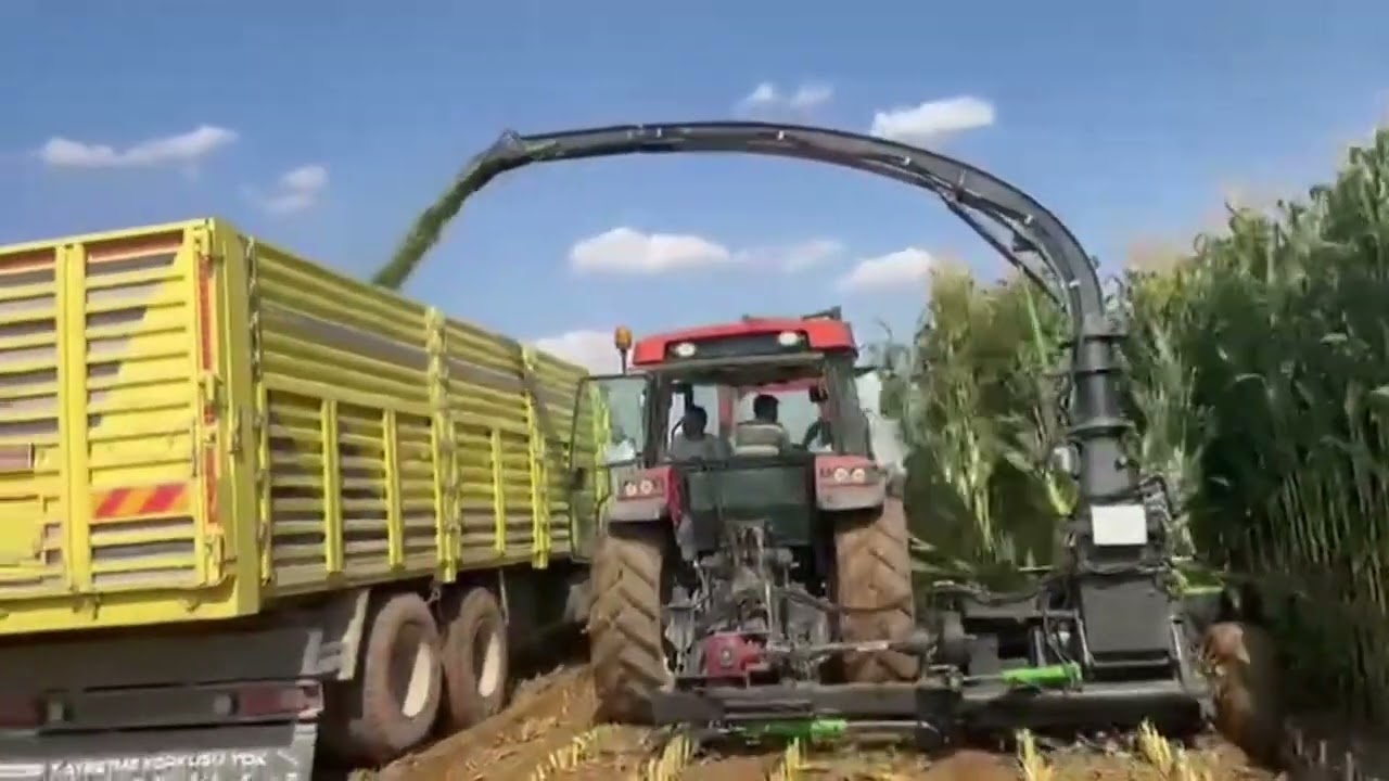 Geri ve yanda bi&ccedil;en 3 sıra mısır silaj makinesi | @MOFEMmakine #tarım #agriculture