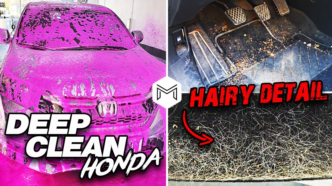 Deep Cleaning a HAIRY Honda | Full Car Cleaning Detailing Transformation