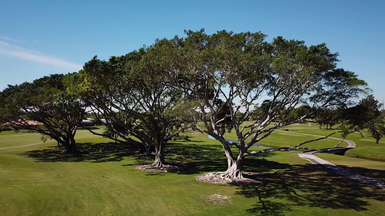 Atlantis Country Club Flyover 2018