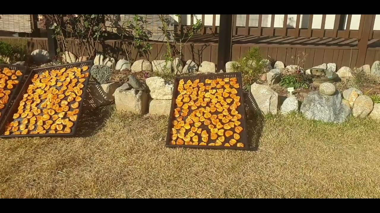 곶감과 말랭이(지리산 상촌에서 햇빛과 바람으로 자연건조)