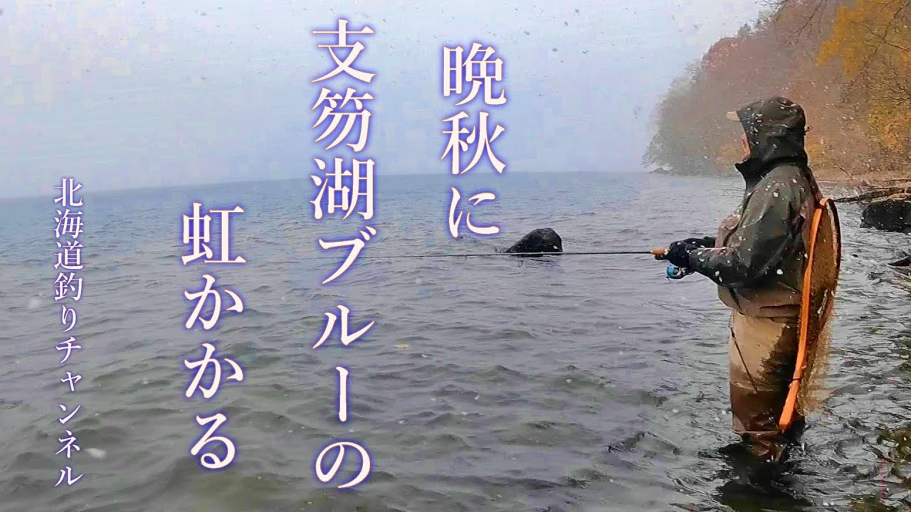 【支笏湖】初雪と支笏湖ブルーのニジマス