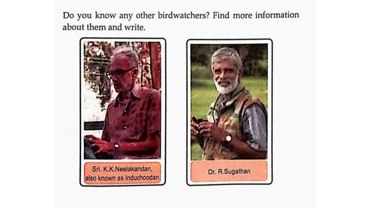 WINGED BUDDIES || LESSON 3 || CLASS 4 || EVS || KERALA SYLLABUS || NEW TEXTBOOK || PART  3 ||