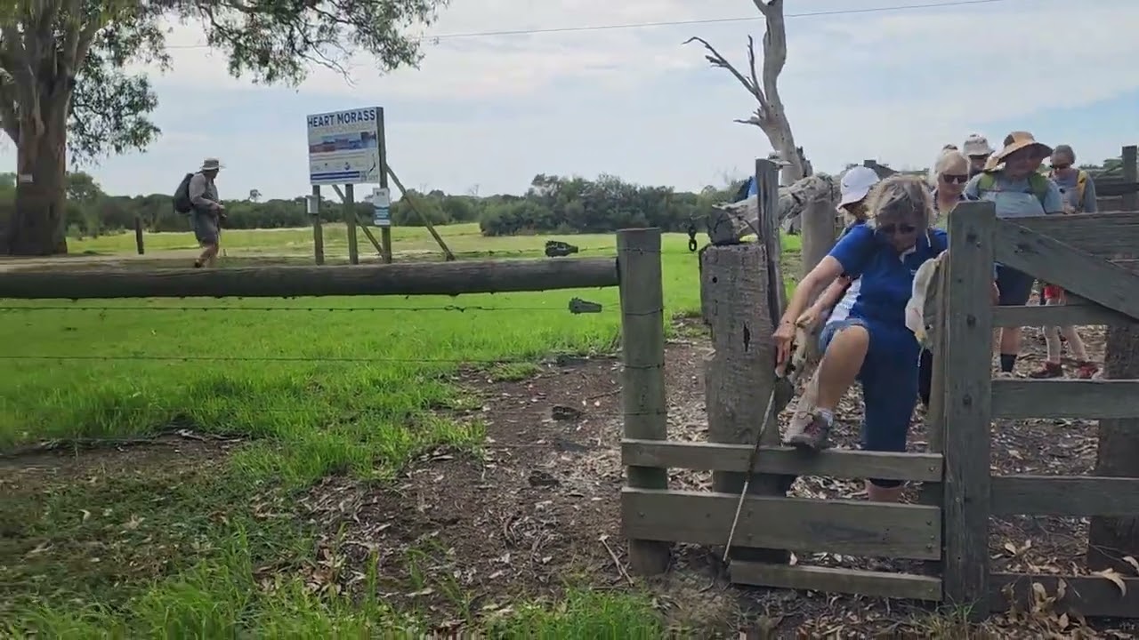 Sale Wetlands Walk, Ben Cruachan Walking Club 1/3/2026