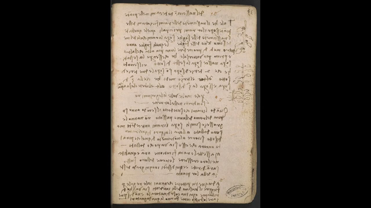 Leonardo da Vinci botanical animation video