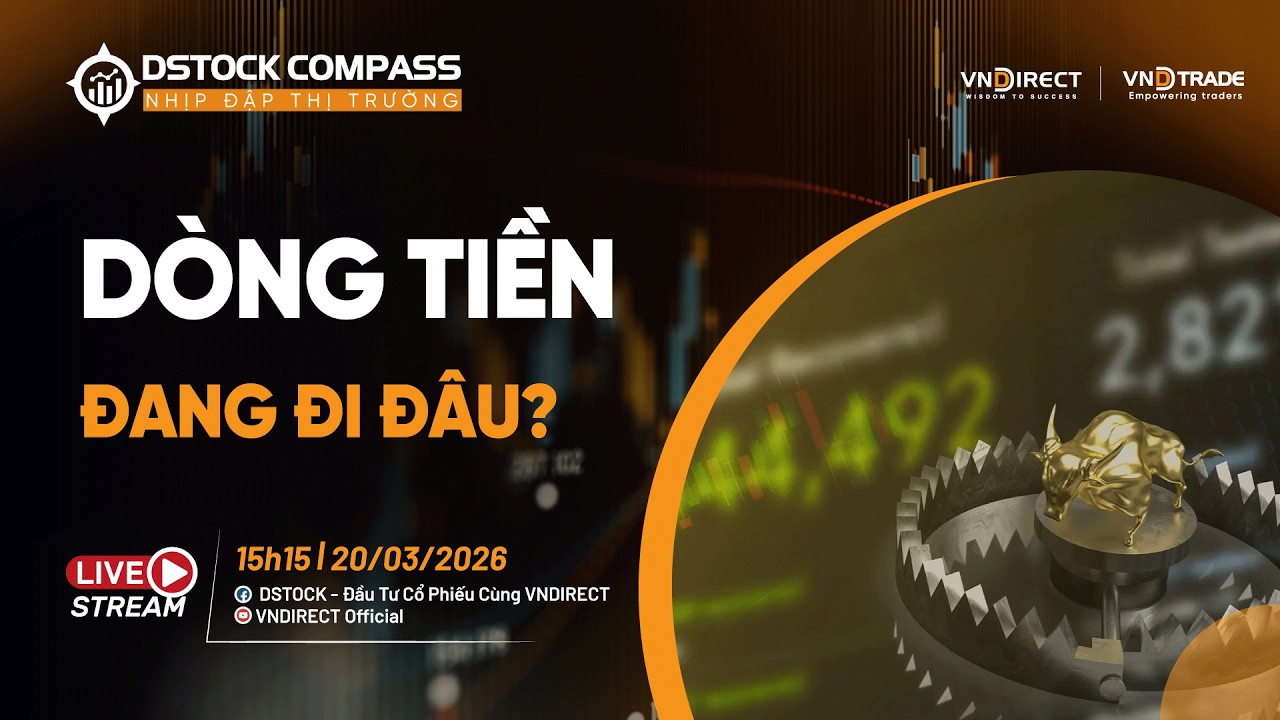DÒNG TIỀN ĐANG ĐI ĐÂU? | NHỊP ĐẬP THỊ TRƯỜNG 20/03/2026