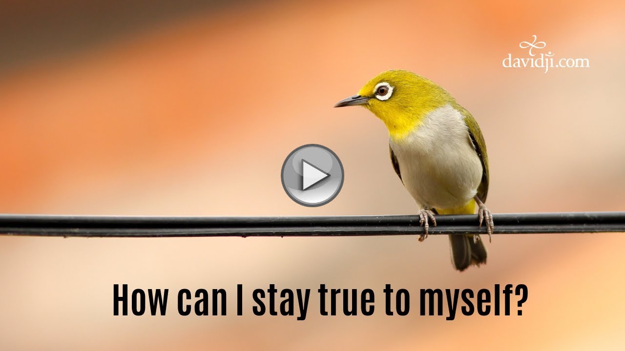 How can I stay true to myself? | davidji