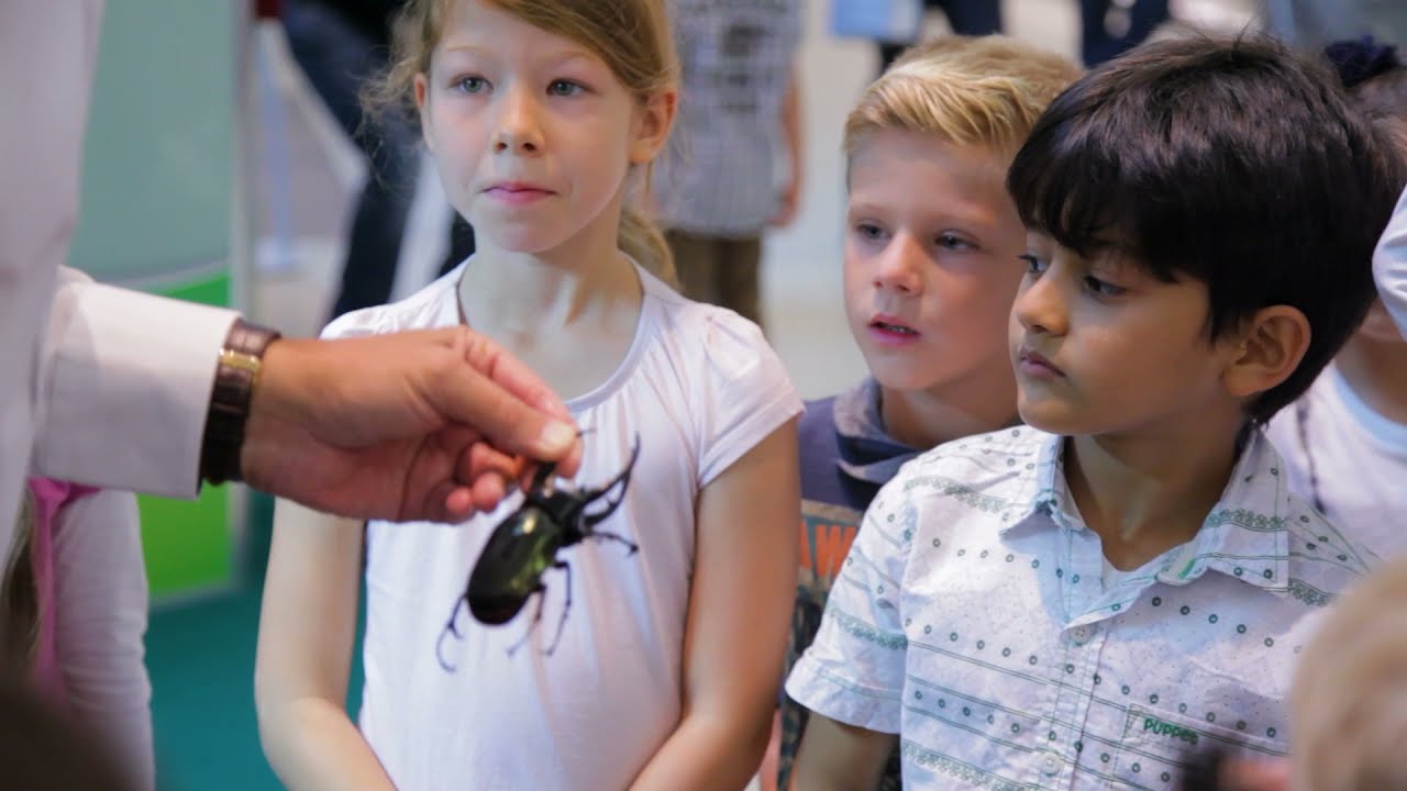 Exotische Welten - Videos zur Ausstellung &brvbar; BEDROHTE TIERARTEN - &laquo;Was man nicht kennt....&raquo;