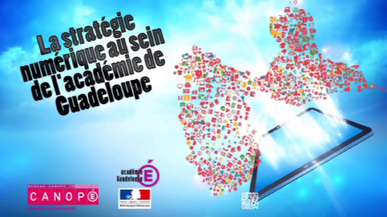 Stratégie Numérique DANE Guadeloupe - 2015