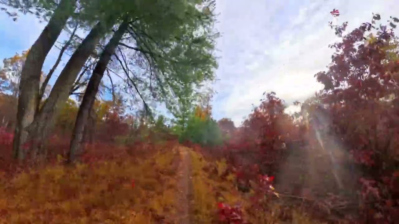 2025 Iceman Cometh Pre-Ride - New Single Track Sow's Ear Starting at 