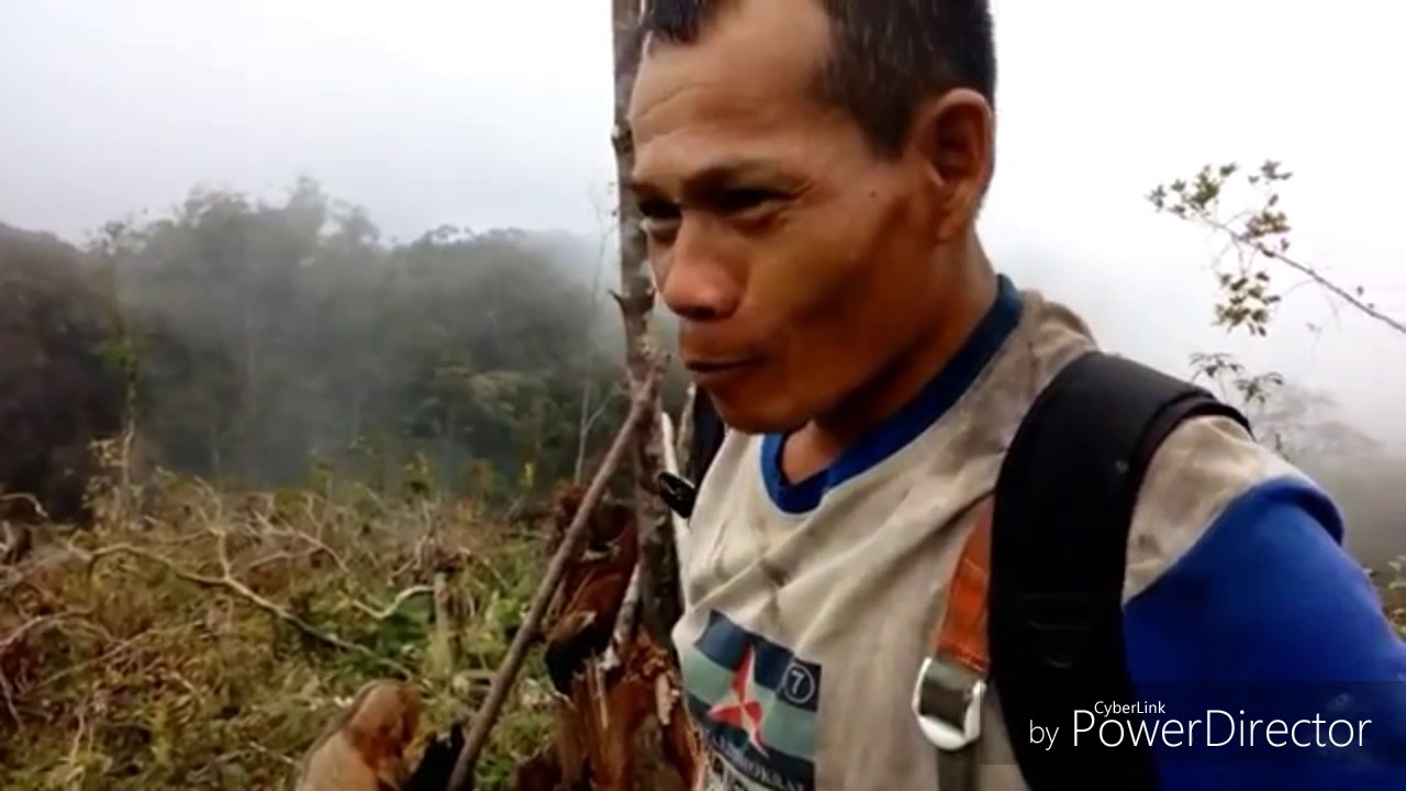 Reklamasi gunung slamet  pt.SAE