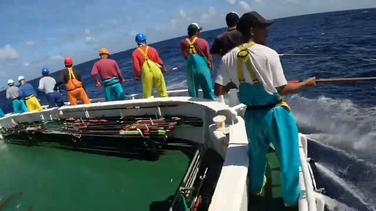 Semua Orang Harus Nonton ini! Keahlian Sangat Menakjubkan,Mancing teknik pole and line jepang