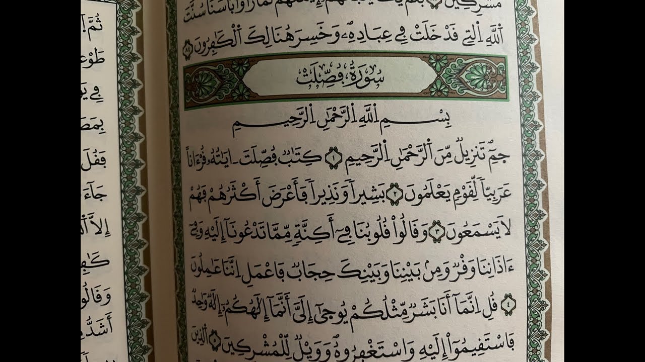 ارحموا من في الأرض يرحمكم من في السماء