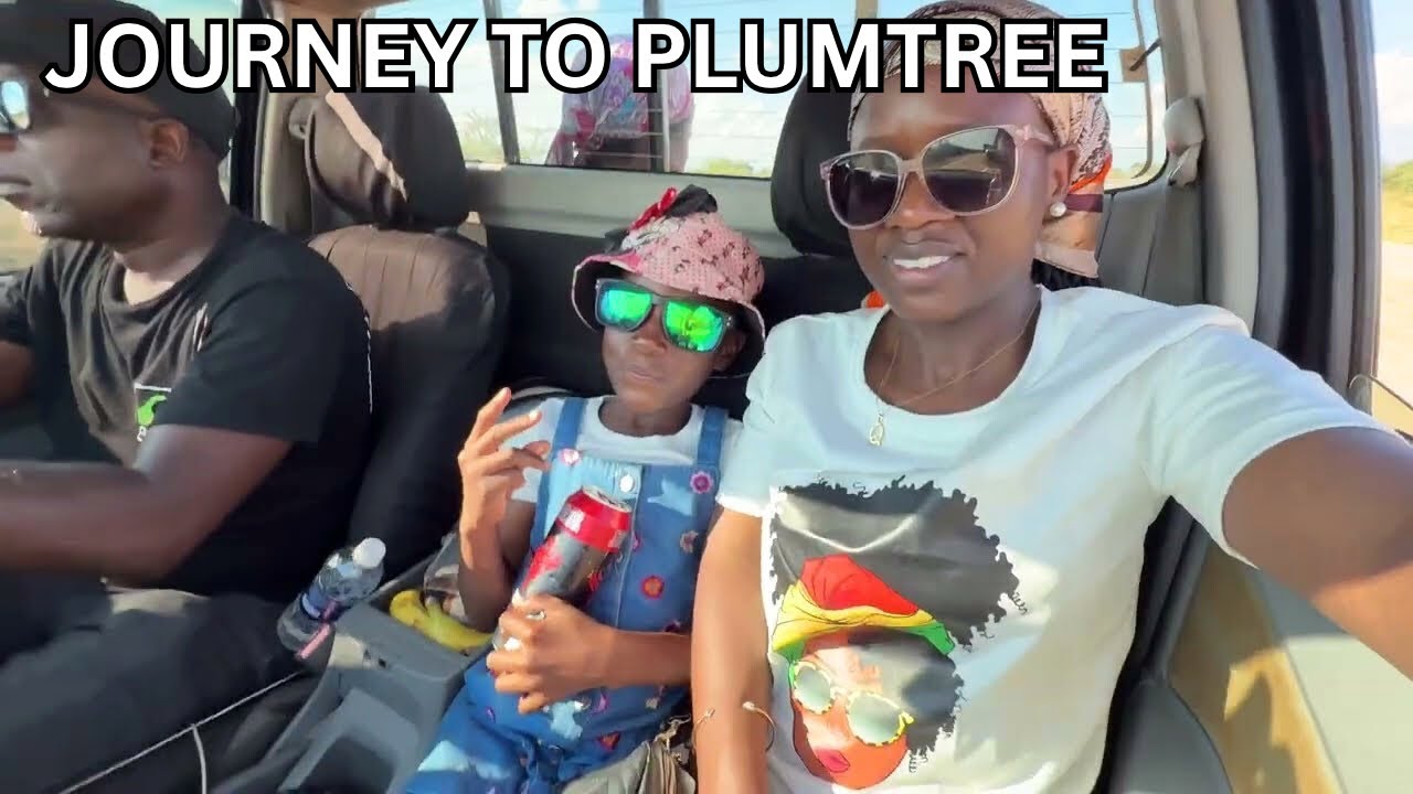 JOURNEY TO PLUMTREE VLOG // ZIMBABWE 🇿🇼 TRAVEL VLOG #zimbabweanyoutuber 