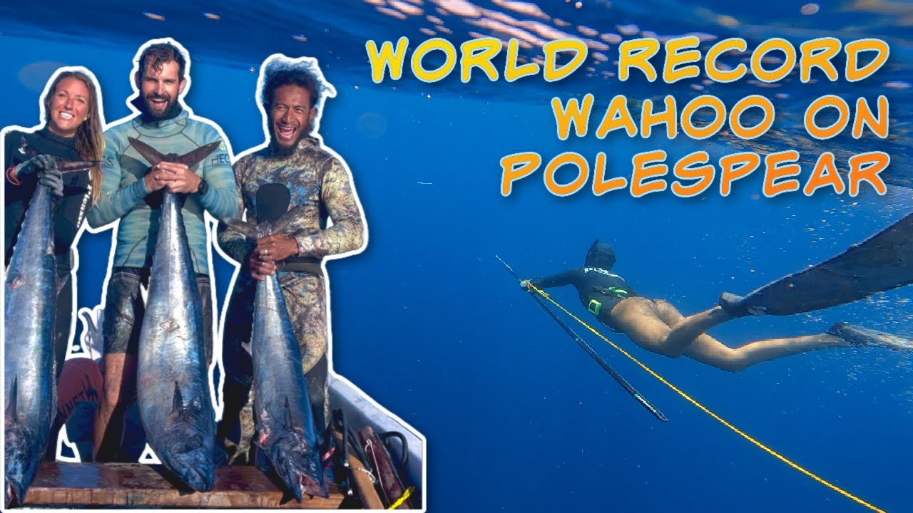 Freediver Steph's World Record Wahoo on Polespear!