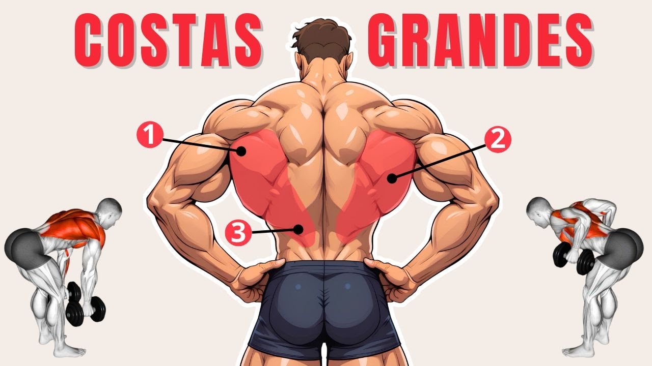 Costas Grandes! 5 Exercícios de Costas Com Halteres em Casa [Foco Dorsal]