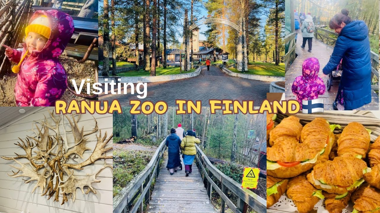 Visiting Ranua Zoo/Wildlife Park In Rovaniemi Lapland | Routine Vlog | Autumn 🍂 Ends | Oct 2024