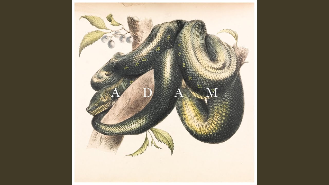 Adam