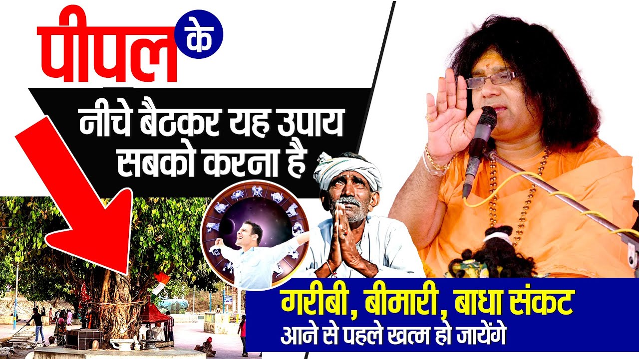 पीपल के नीचे बैठकर यह उपाय सबको करना है...गरीबी, बीमारी, बाधा संकट आने से पहले खत्म हो जायेंगे