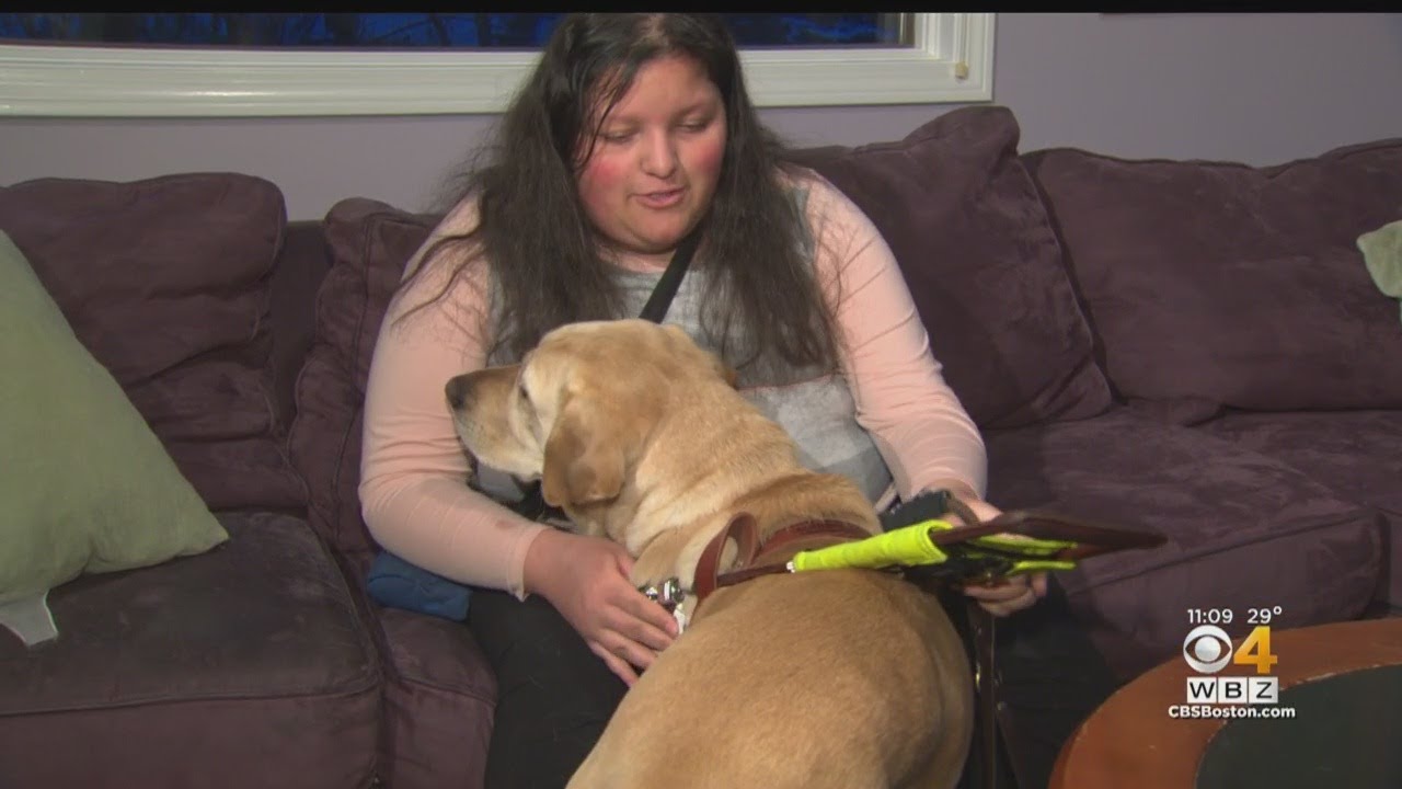 Blind Student Says School Separated Her From Service Dog