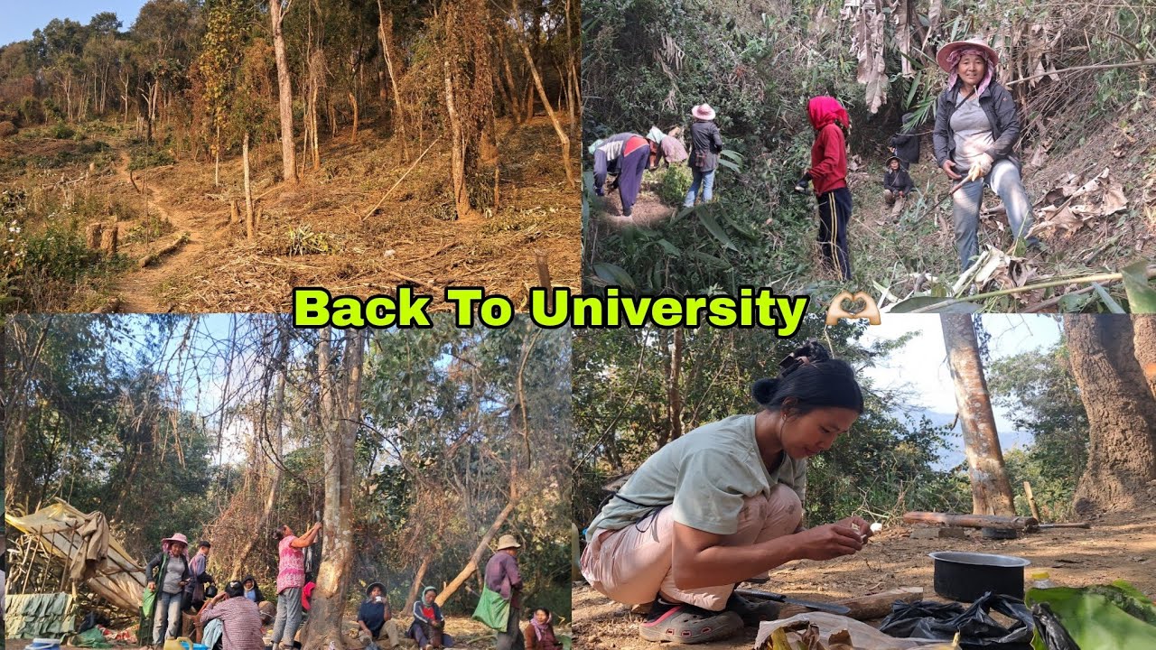 Back To Work /Beginning Of Jhum Cultivation /Cooked Delicious Chicken Curry /Rurallife 
