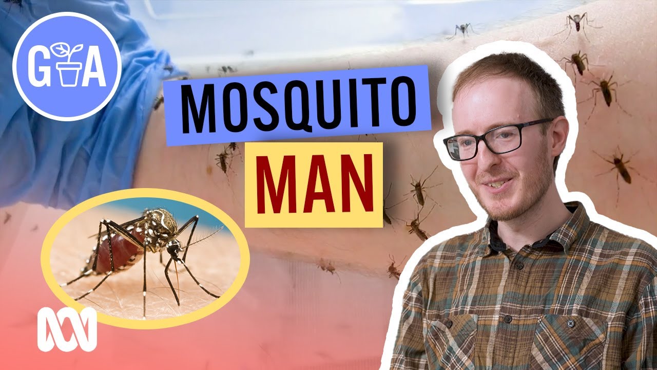 Mosquito Man Perran Ross | My Garden Path | Gardening Australia