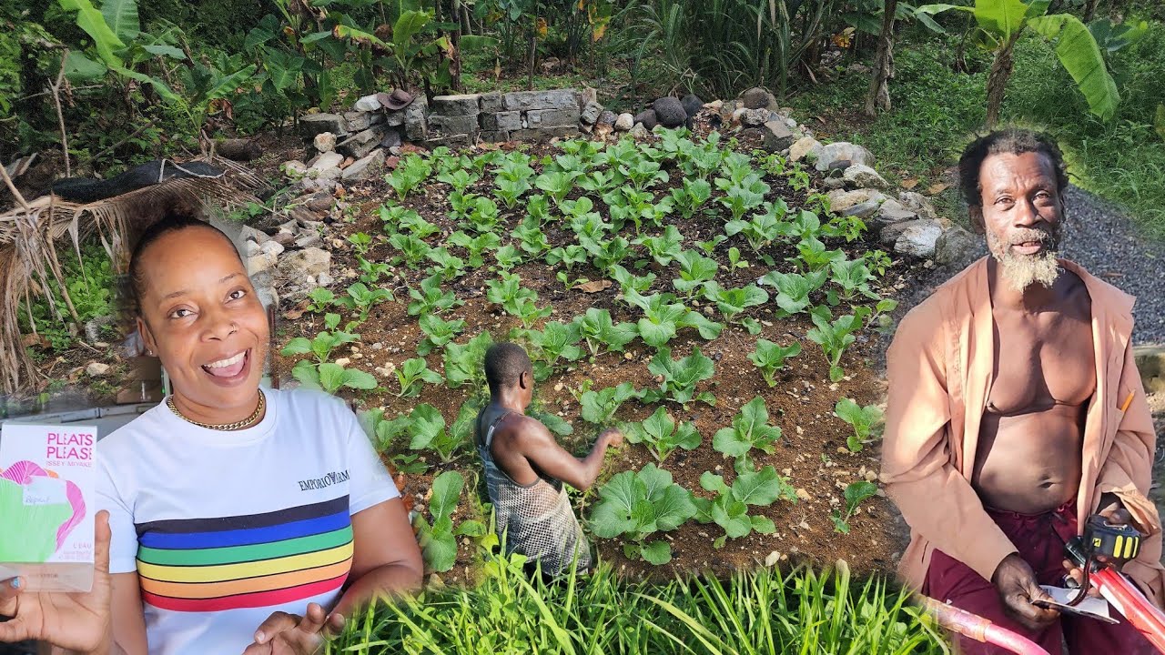 Danny from project x and Sophia get gift today | visiting uncle bok choy farm in Portland 
