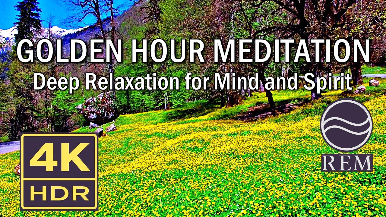 Mozart ● Beethoven ● Bach ● Golden Hour Healing ● Pure Piano Solo ● Relaxing Nature ● 4K HDR