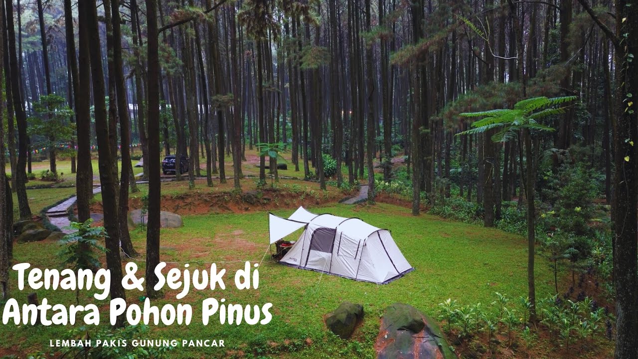 Lembah Pakis Gunung Pancar | Ternyata Setenang Ini !! | ASMR Alam