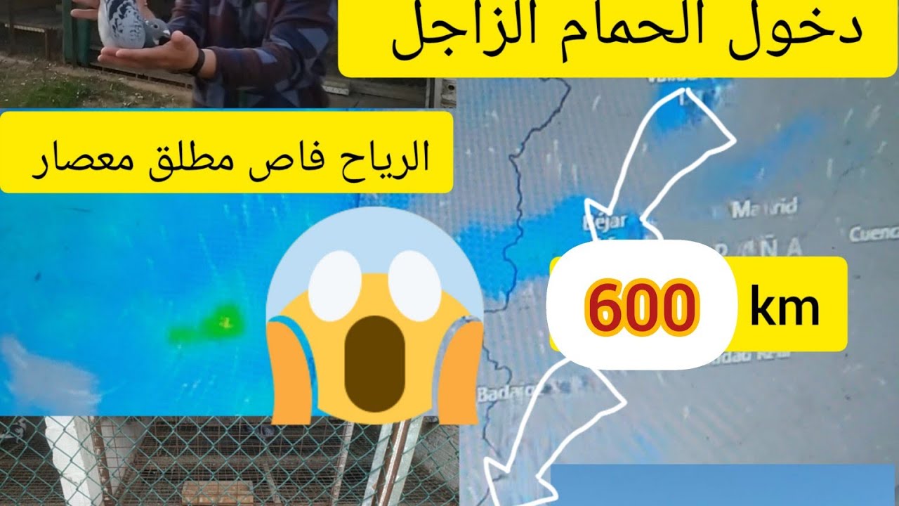 مطلق كارتي سلالات العالميه تدخل في اوقات شتاء 🌧️ صعب للغاية 😱😱😱😱😱😱
