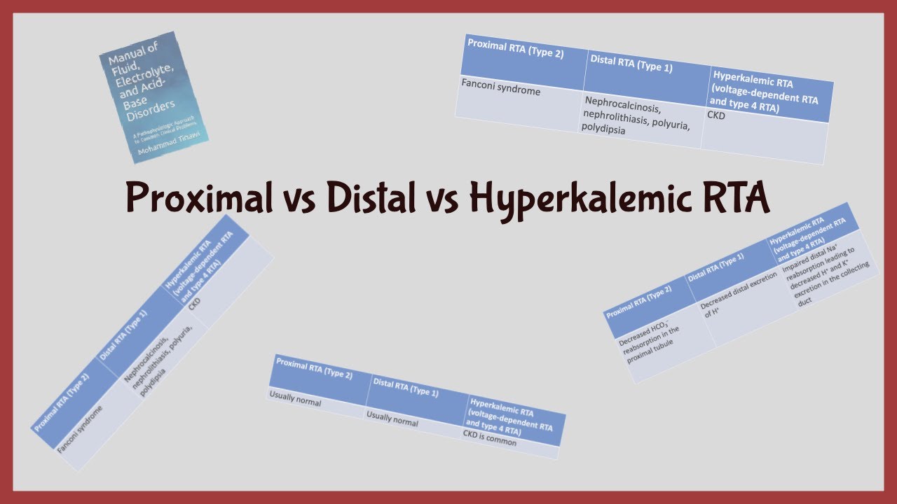 Metabolic Acidosis Part 10. Proximal (Type 2) vs Distal (Type 1) vs Type 4  Renal Tubular Acidosis