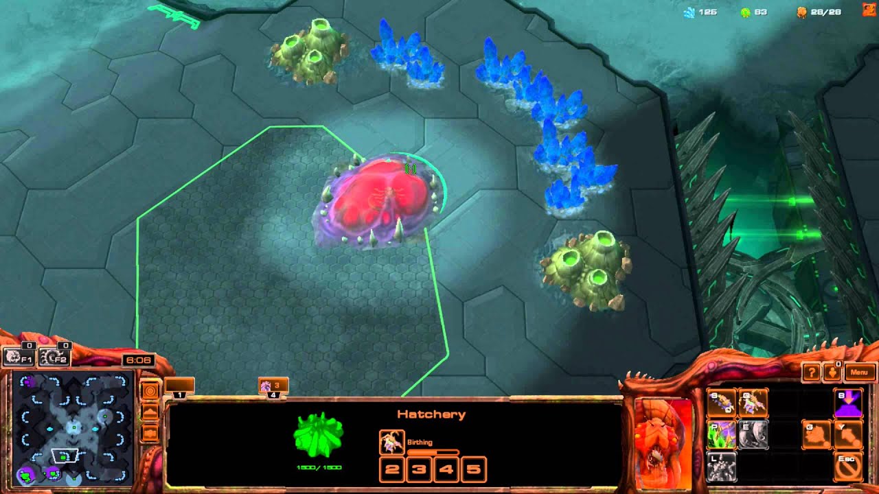 How to Queen Larvae Inject and Hotkey Zerg in Starcraft 2