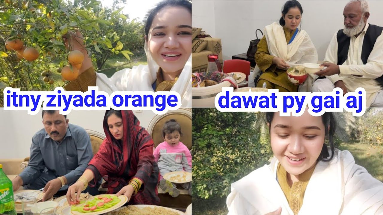 Aj hum sb dawat py gai | itny ziyada orange mily | sitara yaseen vlogs