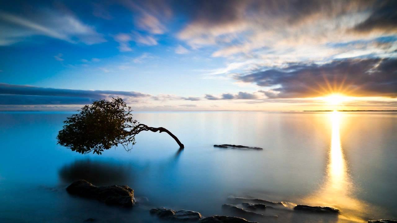 Falcon - Sunlight (Original Mix)