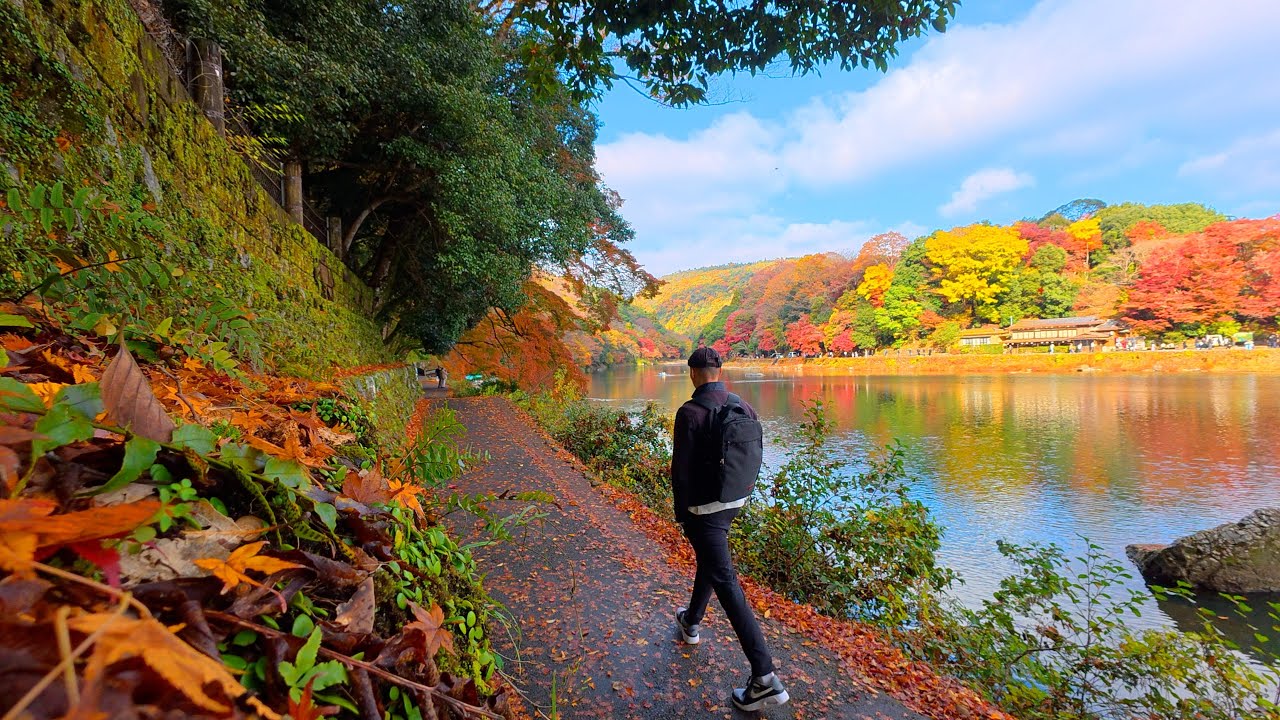 Autumn Walk in Arashiyama, Kyoto 🍁 | Bamboo Grove, Temples & River Path