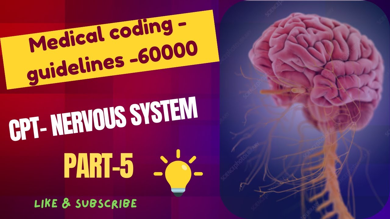 CPT  NERVOUS SYSTEM - PART 5