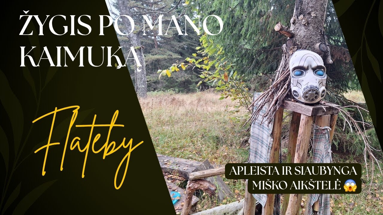 Pasivaikščiojimas po mano kaimuką-Flateby