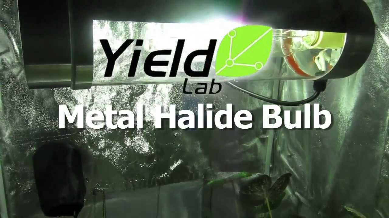 MH Grow Bulb Review: Yield Lab Metal Halide MH Bulb Hydroponics GrowAce.com