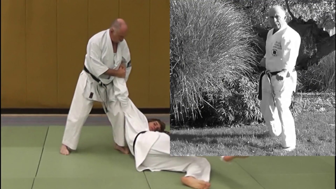 Heian Shodan Bunkai Trailer
